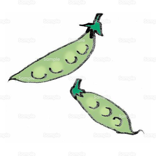 さやえんどう えんどう まめ 豆 野菜 のイラスト 111 0016 クリエーターズスクウェア