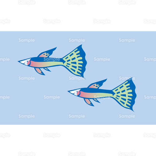 魚 熱帯魚 グッピー のイラスト 124 0094 クリエーターズスクウェア