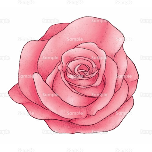 薔薇 バラ 花 のイラスト 144 0046 クリエーターズスクウェア