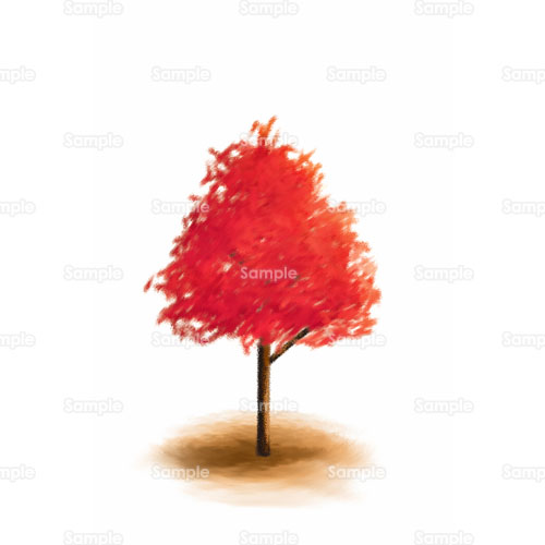 紅葉 木 のイラスト 144 0077 クリエーターズスクウェア