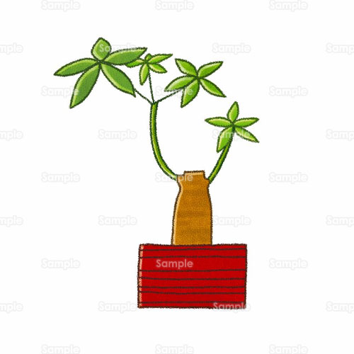 インテリア パキラ 観葉植物 のイラスト 144 0117 クリエーターズスクウェア