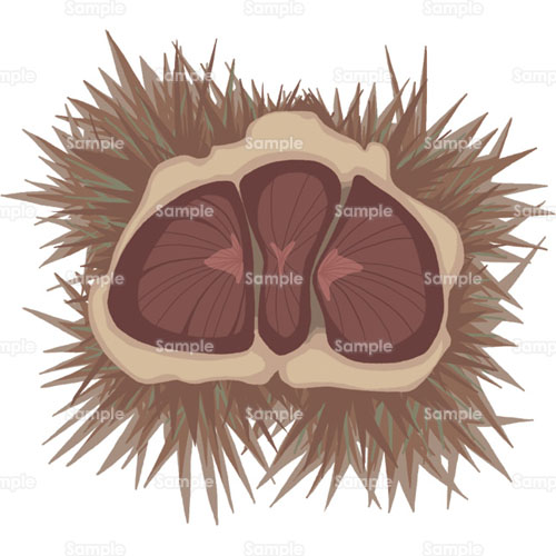 栗 クリ イガ いがぐり 木の実 のイラスト 161 0177 クリエーターズスクウェア