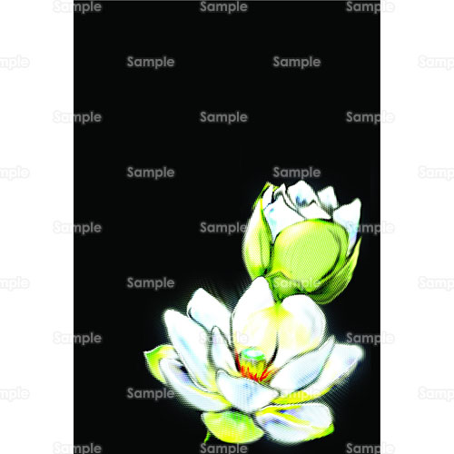 蓮 ハス 花 のイラスト 174 0007 クリエーターズスクウェア