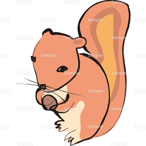 リス 木の実 どんぐり のイラスト 175 00 クリエーターズスクウェア