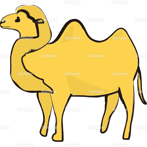 駱駝 ラクダ フタコブラクダ 砂漠 のイラスト 175 0088
