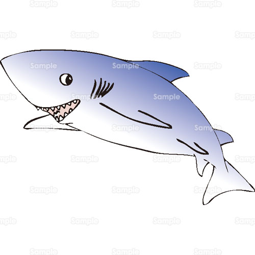 サメ ジョーズ シャーク 鮫 のイラスト 178 0010 クリエーターズスクウェア