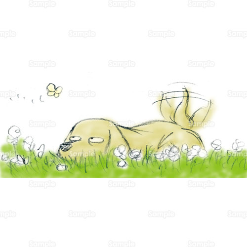 犬 イヌ しっぽ ちょうちょ 蝶 モンキチョウ 野原 花畑 のイラスト 178 0162 クリエーターズスクウェア