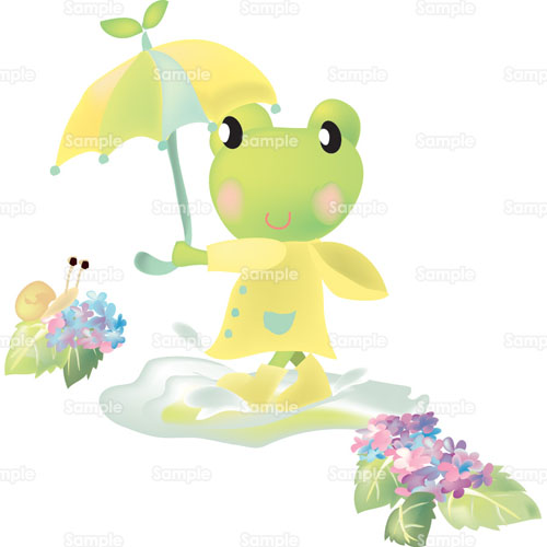 カエル 蛙 傘 レインコート 紫陽花 あじさい かたつむり 水たまり のイラスト 181 0014 クリエーターズスクウェア