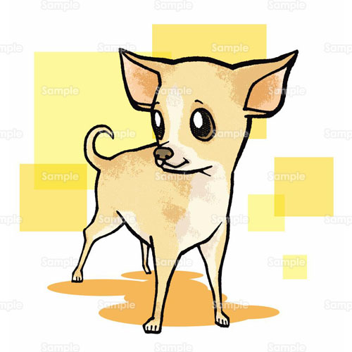 イヌ チワワ Chihuahua 子犬 仔犬 犬 小イヌ 仔イヌ こいぬ のイラスト 195 0001 クリエーターズスクウェア