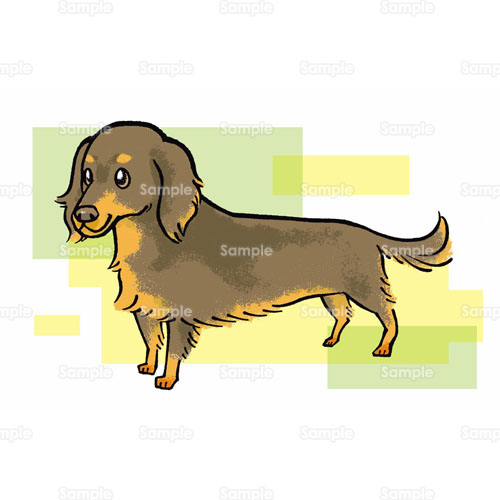 ダックスフンド Dachshund イヌ 犬 のイラスト 195 0002 クリエーターズスクウェア