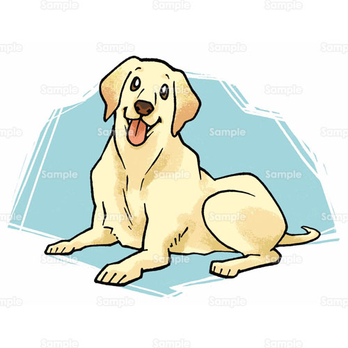 ラブラドール レトリーバー Labrador Retriever イヌ 犬 のイラスト 195 0003 クリエーターズスクウェア