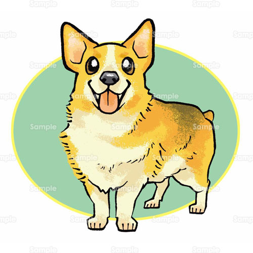 ;EFbVER[M[EJ[fBK,Welsh Corgi Cardigan,Ck,,