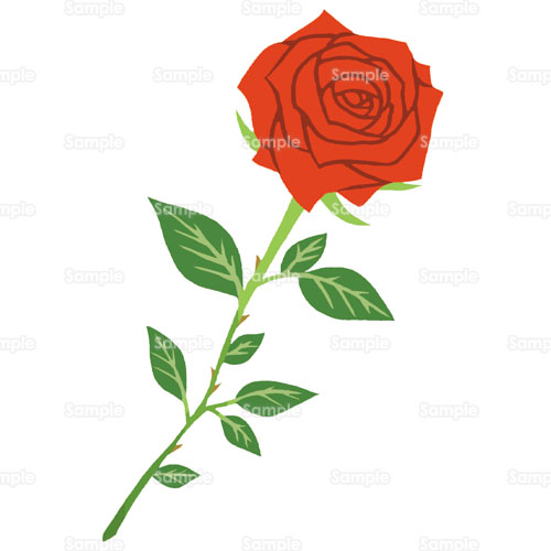 バラ 薔薇 花 のイラスト 195 0027 クリエーターズスクウェア