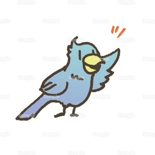 鳥 トリ インコ のイラスト 0 0012 クリエーターズスクウェア