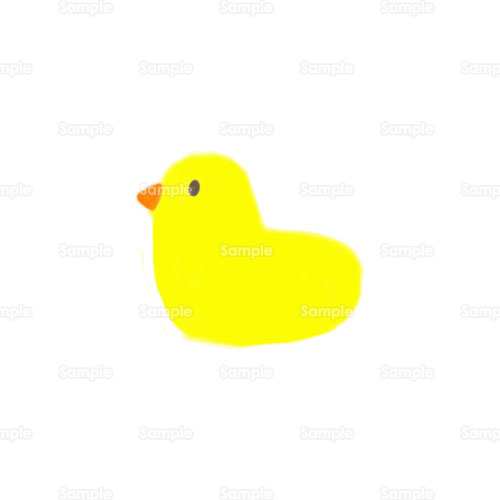 ヒヨコ 鳥 ひな 雛 こども のイラスト 216 0004 クリエーターズ