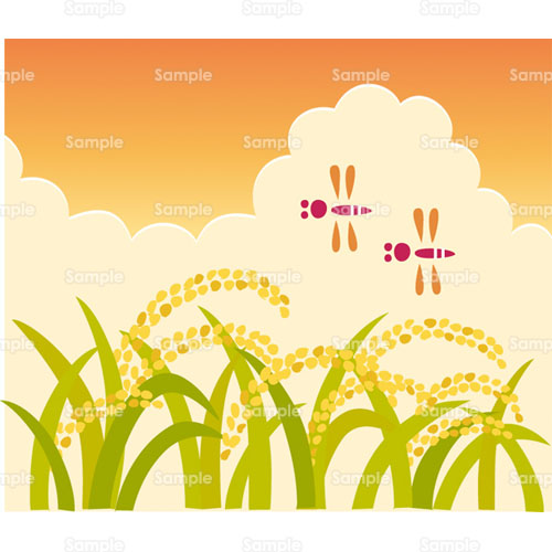 稲穂 稲 米 コメ 田んぼ 赤とんぼ トンボ 蜻蛉 昆虫 むし 農業 のイラスト 220 0065 クリエーターズスクウェア