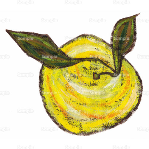 カリン 花梨 実 果物 フルーツ のイラスト 223 0015 クリエーターズスクウェア