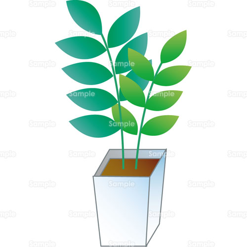 観葉植物 鉢植え のイラスト 237 0003 クリエーターズスクウェア