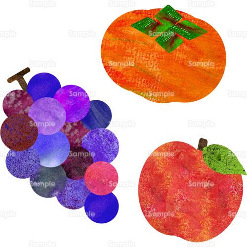 果物 柿 カキ りんご ブドウ 葡萄 フルーツ のイラスト 241 0068 クリエーターズスクウェア