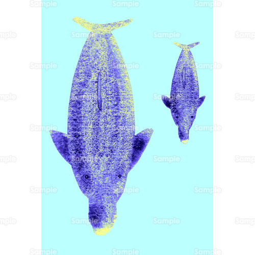 ジュゴン イルカ クジラ 親子 水族館 海 のイラスト 264 0003 クリエーターズスクウェア