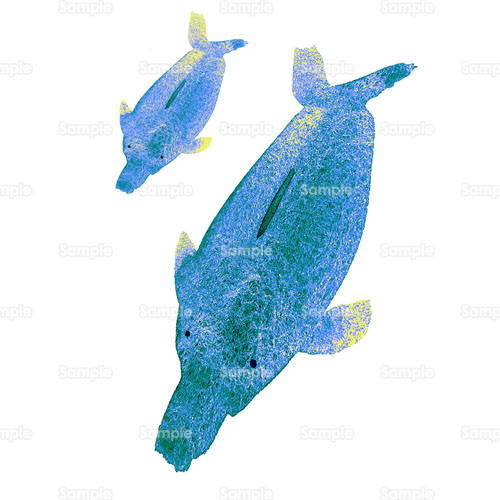 ジュゴン イルカ クジラ 親子 水族館 海 のイラスト 264 0005 クリエーターズスクウェア
