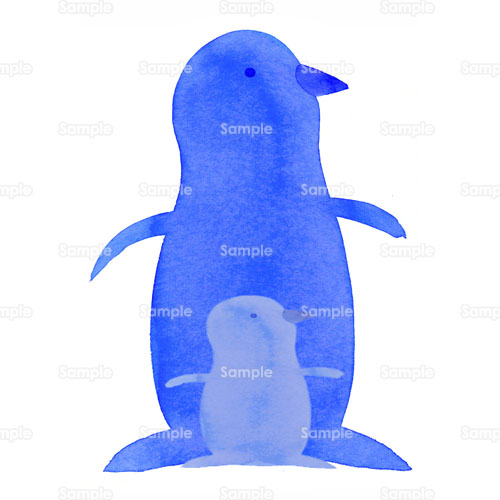 ペンギン 親子 水族館 海 のイラスト 264 0030 クリエーターズスクウェア