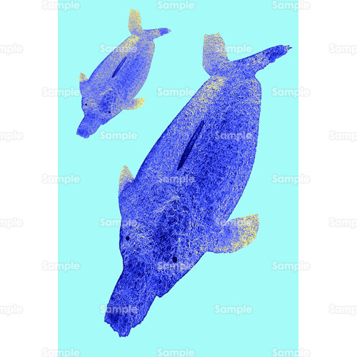 ジュゴン クジラ イルカ 親子 水族館 海 のイラスト 264 0036 クリエーターズスクウェア