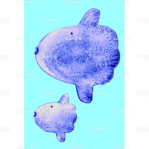 マンボウ 水族館 親子 海 のイラスト 264 0037 クリエーターズスクウェア