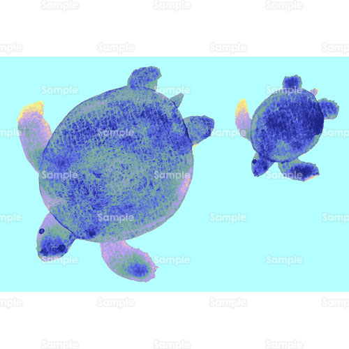 ウミガメ 海亀 カメ 亀 水族館 海 親子 のイラスト 264 0038 クリエーターズスクウェア