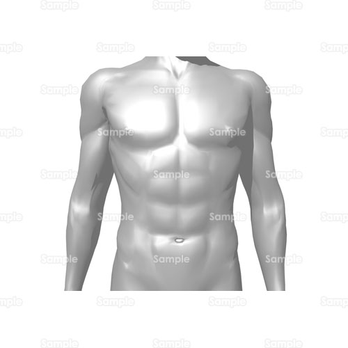 人体 筋肉 人間 体 骨格 のイラスト 69 Ir27 クリエーターズスクウェア