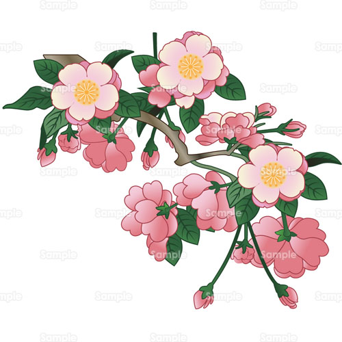 桜のイラスト 999 0431 花歳時記 春を彩る桜のイラスト テンプレート集