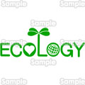 GRW[ȃGl ecology