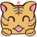 GӔL CXg