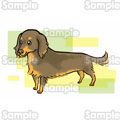 DachshundCXg