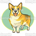 Welsh@Corgi@CardiganCXg