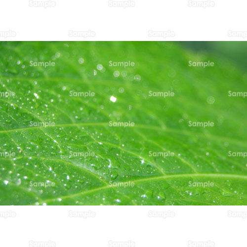 ��;�~�J;�t;