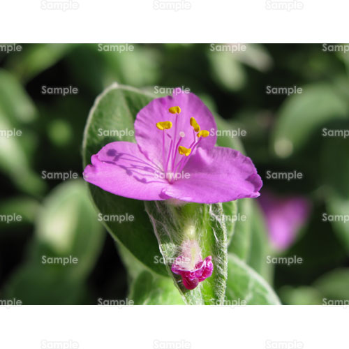 ;gfXJ`AEV^i;gfXJeBAEV^i;sN;