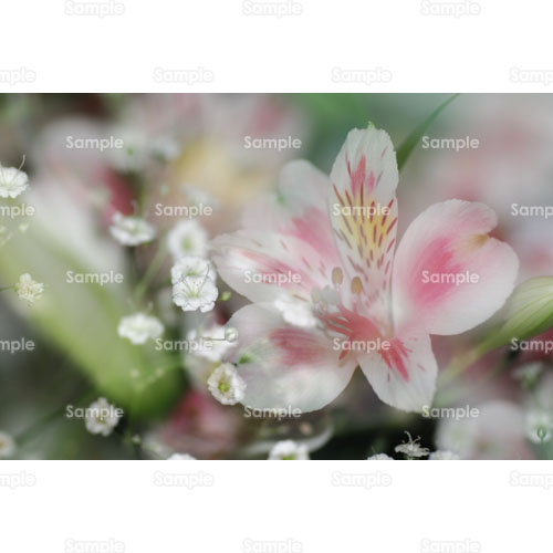 ��;�A���X�g�������A;�J�X�~�\�E;�����ݑ�;�ԑ�;�u�[�P;