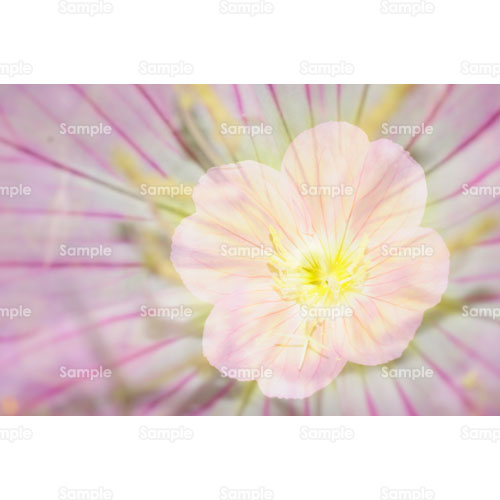 ��;�s���N;������;���炫������;�q���U�L�c�L�~�\�E;�Ԃт�;�ԕ�;