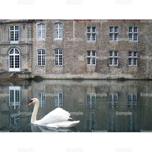 ���[���b�p;��;��;����;��;��;�x;��;