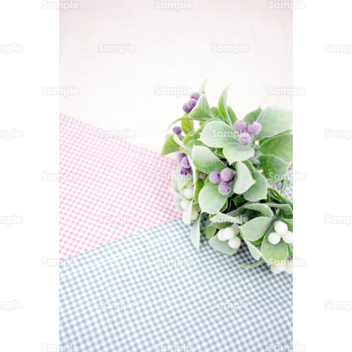 ��;��;���F;�s���N;�`�F�b�N;��;��; 