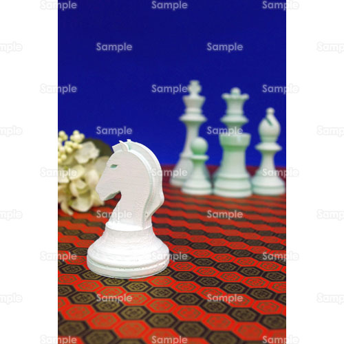 写真 チェス 駒 葉っぱ 和柄 白 実 ナイト 287 0184p 写真素材集 フォト スクウェア
