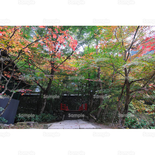 写真 紅葉 橋 欄干 階段 石垣 999 0148p 写真素材集 フォト スクウェア