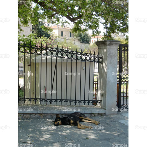 ���[���b�p;�C�k;��;��;��;���Q;�x�e;���A;�M���V��;