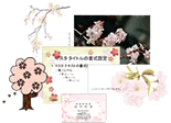 さくら柄と春の花